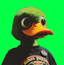 Lead PFP